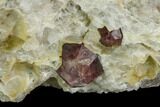 Red Pyrope Garnets in Quartzite - Namibia #128395-1